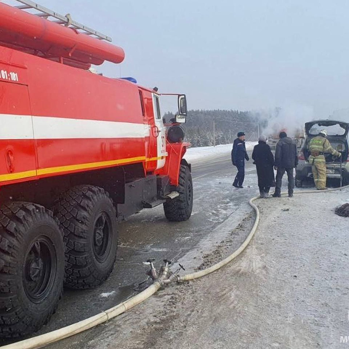 Трагедия на дороге: пожар в автомобиле унес жизнь собаки - KP.RU