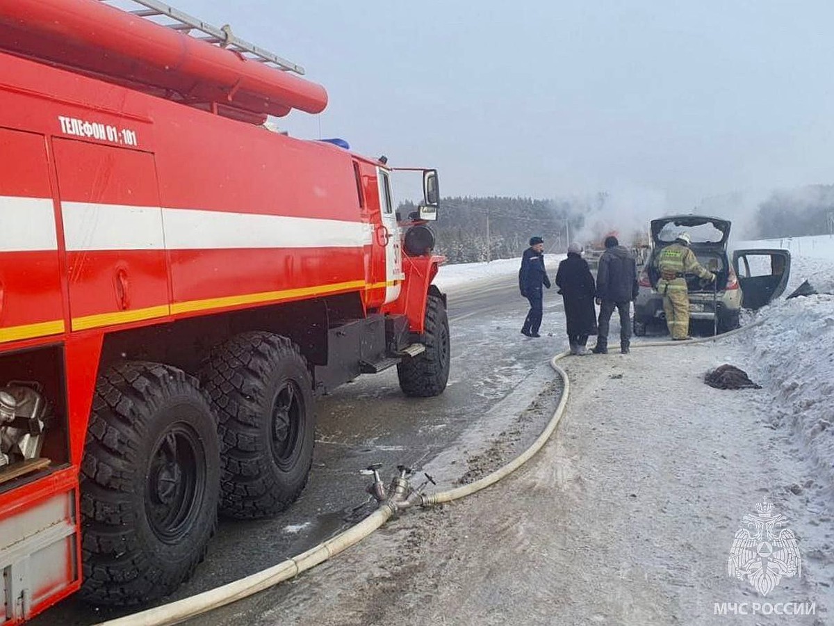 Трагедия на дороге: пожар в автомобиле унес жизнь собаки - KP.RU