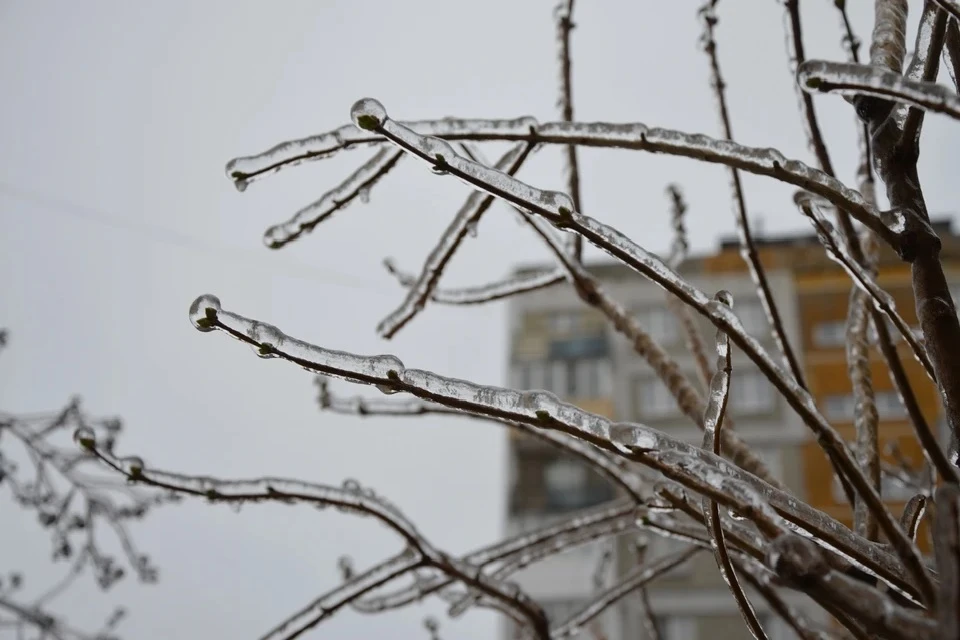 Снег, туман и гололед пообещали в Москве 12 февраля