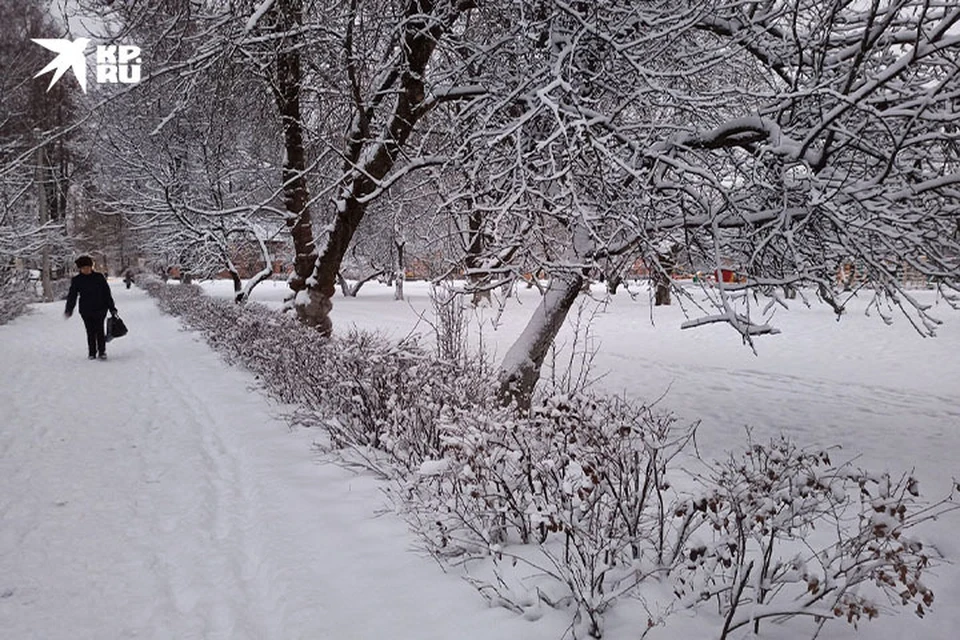 В Тверской области ожидается налипание мокрого снега