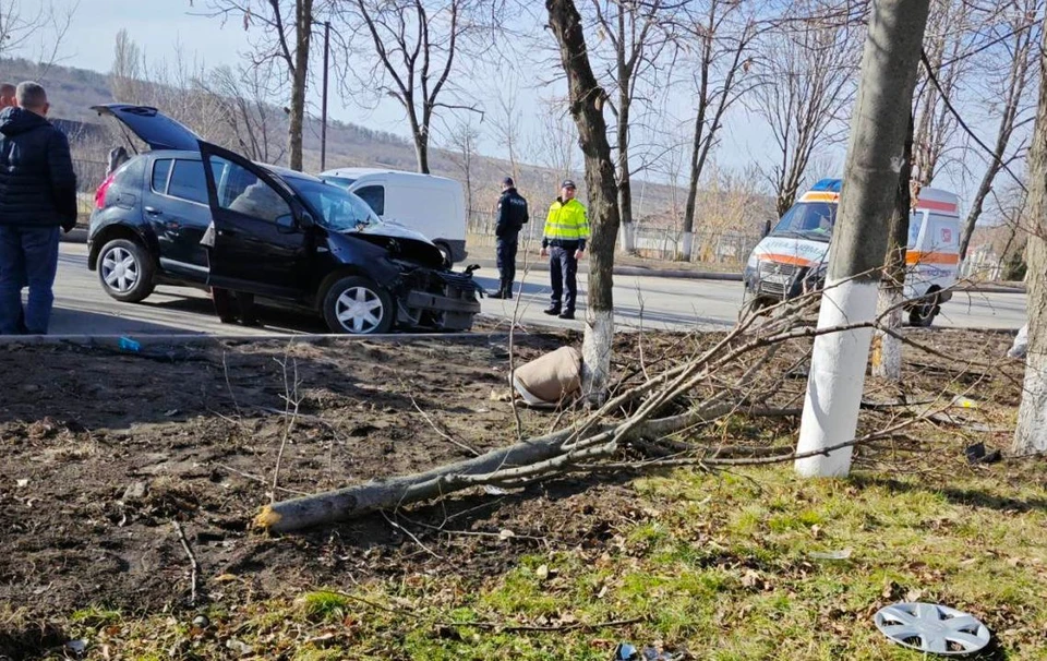Водитель скончался на месте аварии (Фото: полиция).