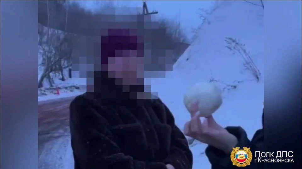Скриншот: видео МВД по Красноярскому краю