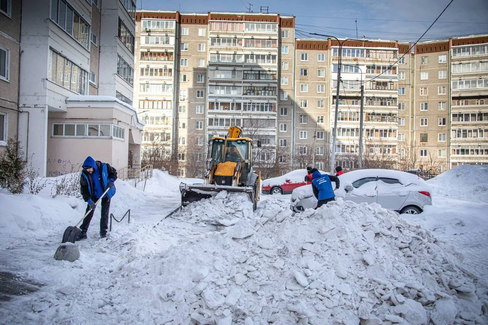 Уборка проходила несколько дней. Фото: Пресс-служба Алексея Вихарева