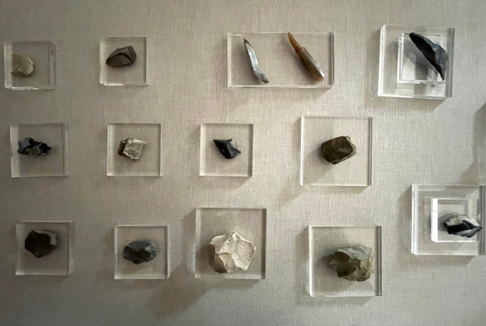 Эти артефакты пролежали в земле миллионы лет. Фото: chersonesos-sev.ru