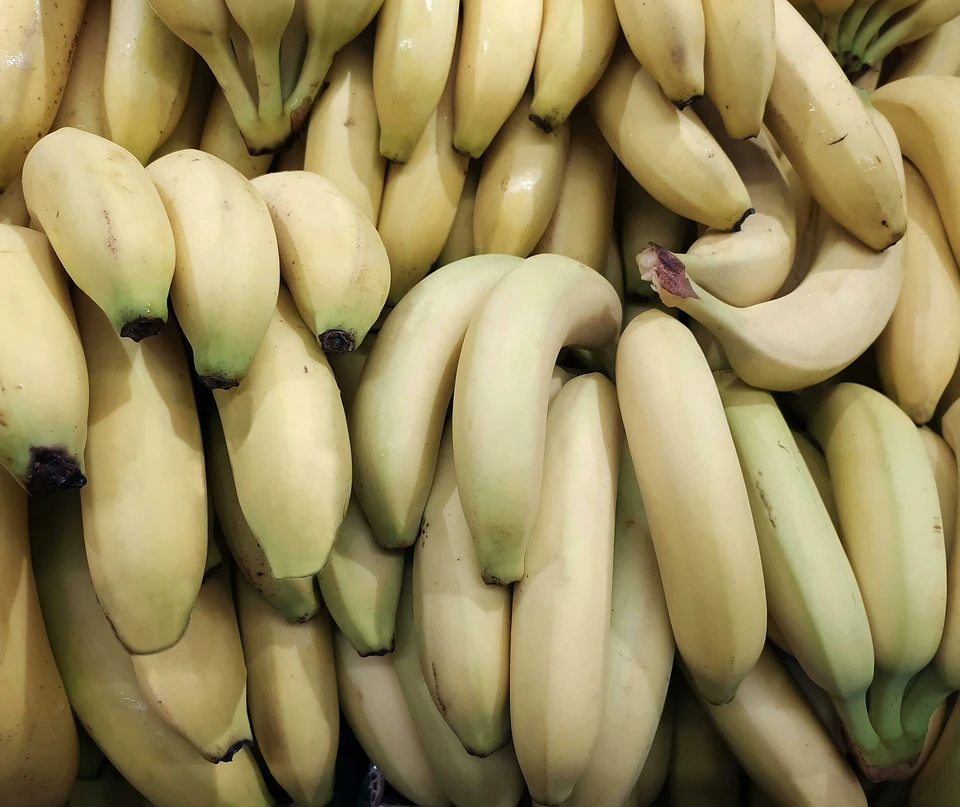 В России могут подешеветь бананы благодаря индийским поставкам