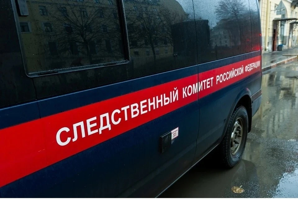 В Москве следователи раскрыли убийство шарфиком, совершенное 15 лет назад