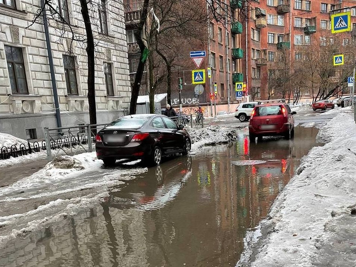 Водоканал» объяснил подтопления в Петербурге неочищенными зонами у ливневок  - KP.RU