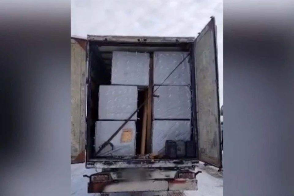 Контрабанда пиломатериала. Скриншот видео Алтайского ЛУ МВД России.