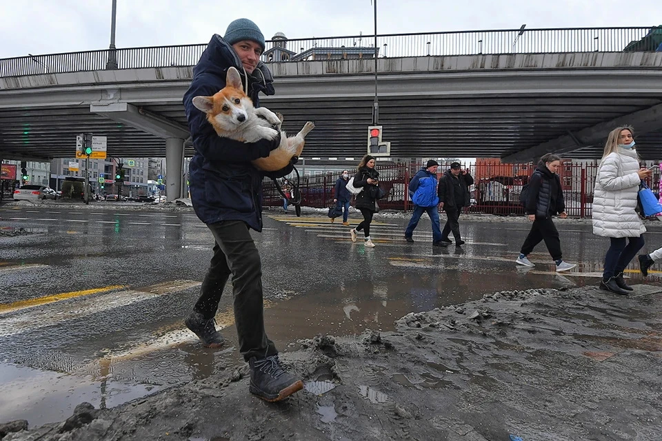 Москвичей предупредили о слякотной и сырой погоде в День защитника Отечества