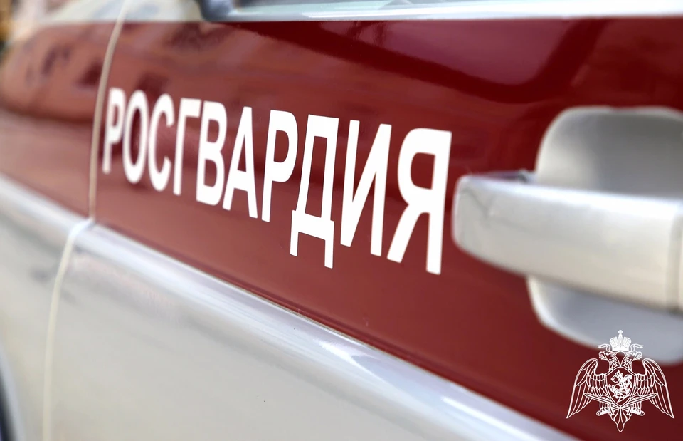Фото: пресс-служба Управления Росгвардии по Белгородской области.