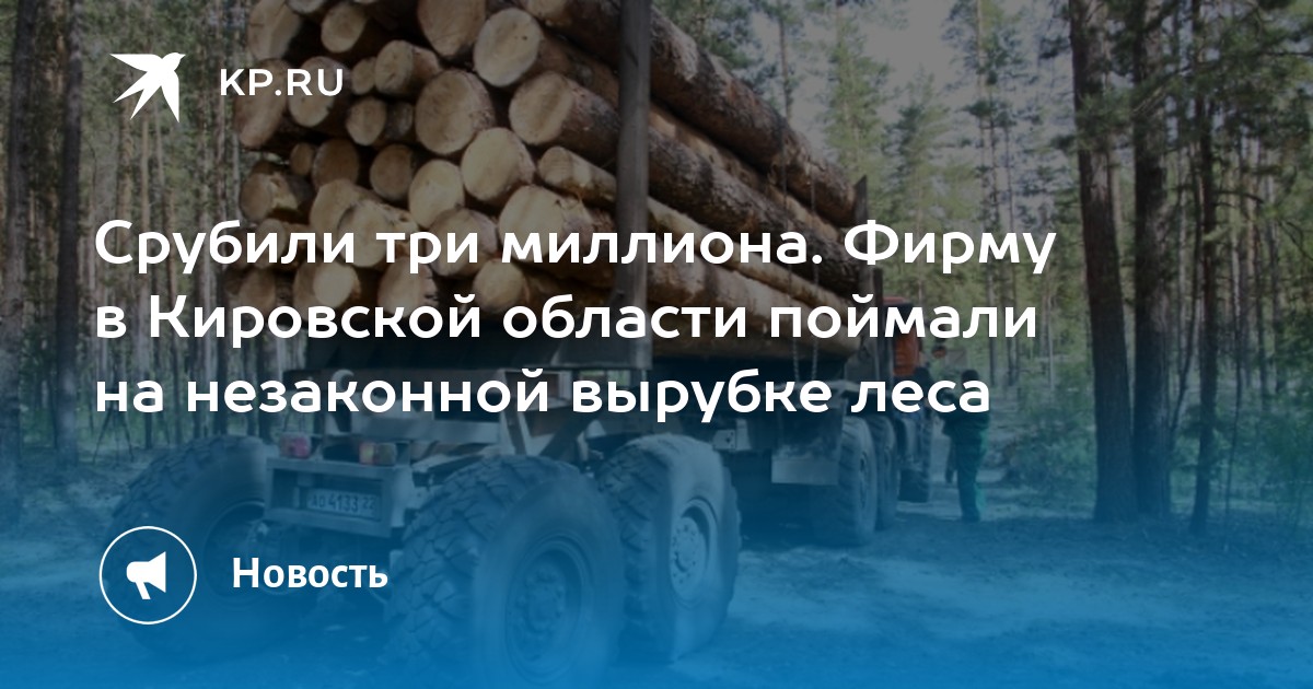 В Петропавловске поймали лисицу и отвезли ее в лес (видео) – Новости Камчатки – Информагентство 41