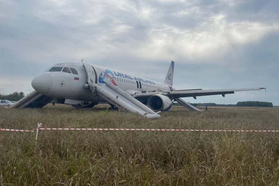 Самолет «Уральских авиалиний» может остаться в поле под Новосибирском на память