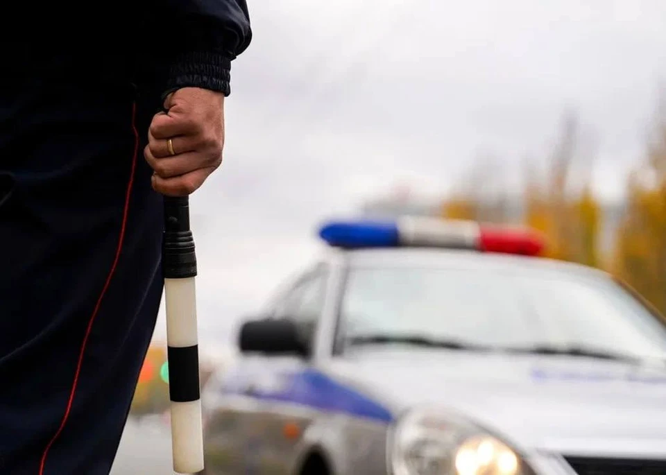 В Запорожской области сотрудники Госавтоинспекции уличили 29 водителей в алкогольном опьянении