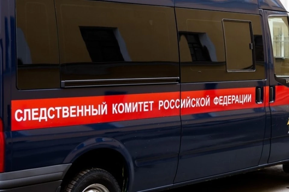 Фото: пресс-служба СУ СКР по Брянской области.
