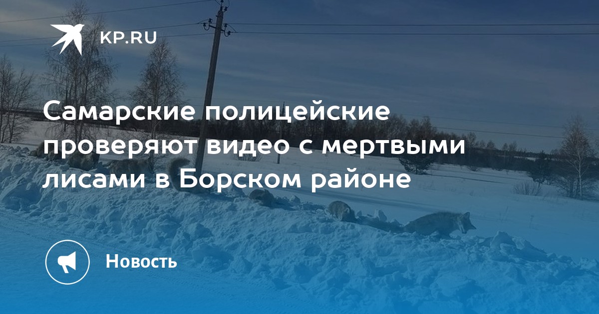 Кадастровая карта борского района самарской области