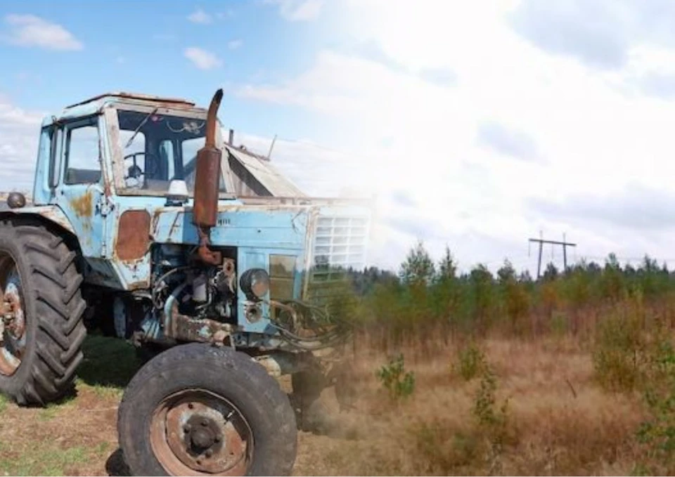 Ещё один удар ПАС по аграрному бизнесу Молдовы: Фото: Коллаж КП