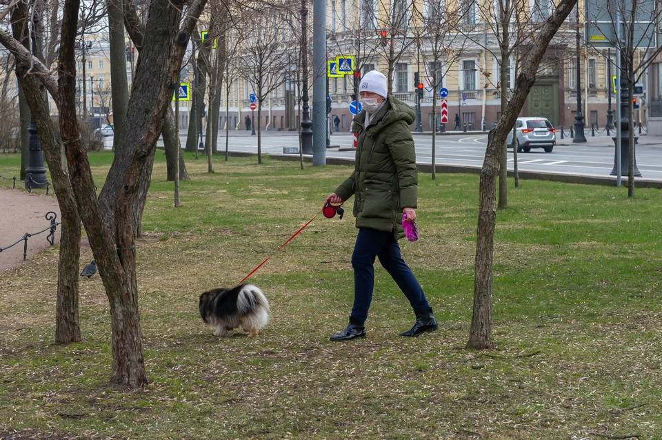 Депутаты ЗакСа Петербурга хотят создать рабочую группу по борьбе с неприятными запахами.