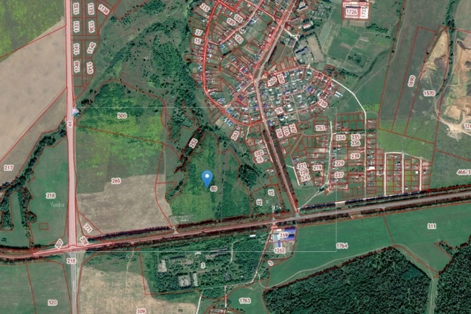 Участок земли, который предлагается сдать в аренду. Фото: скриншот карты egrp365.org