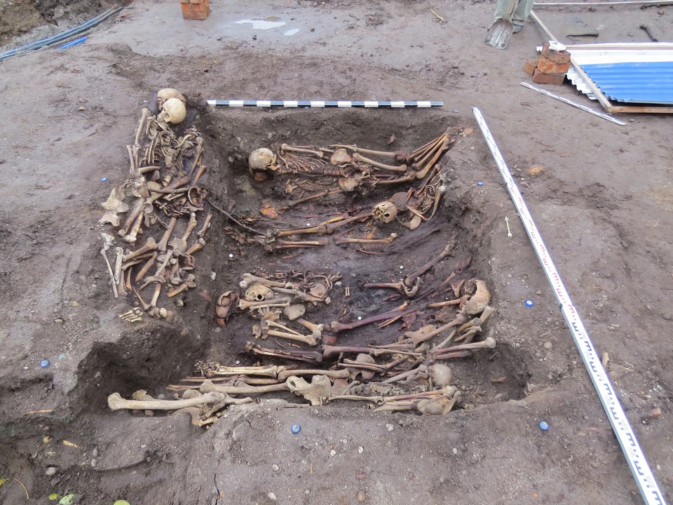 Одно из массовых захоронений, обнаруженных археологами в Калининграде. Вполне возможно, это жертвы чумы или холеры.