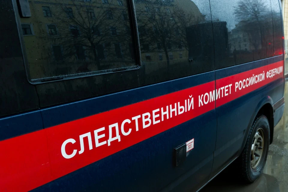 На горе-мать завели дело.