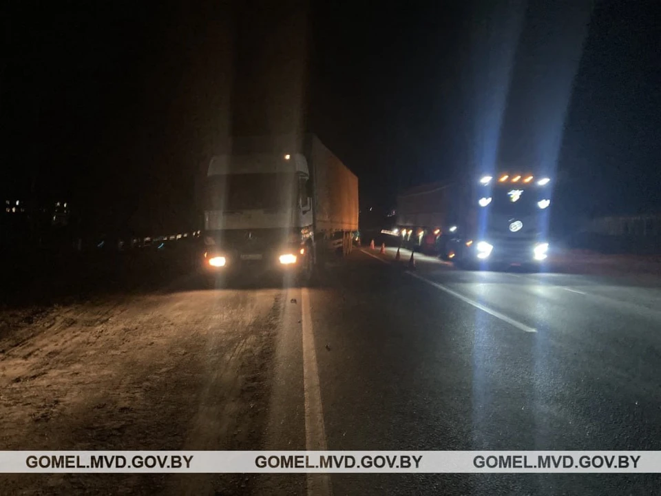Под Добрушем фура сбила женщину, перебегавшую проезжую часть. Фото: телеграм-канал УВД Гомельского облисполкома