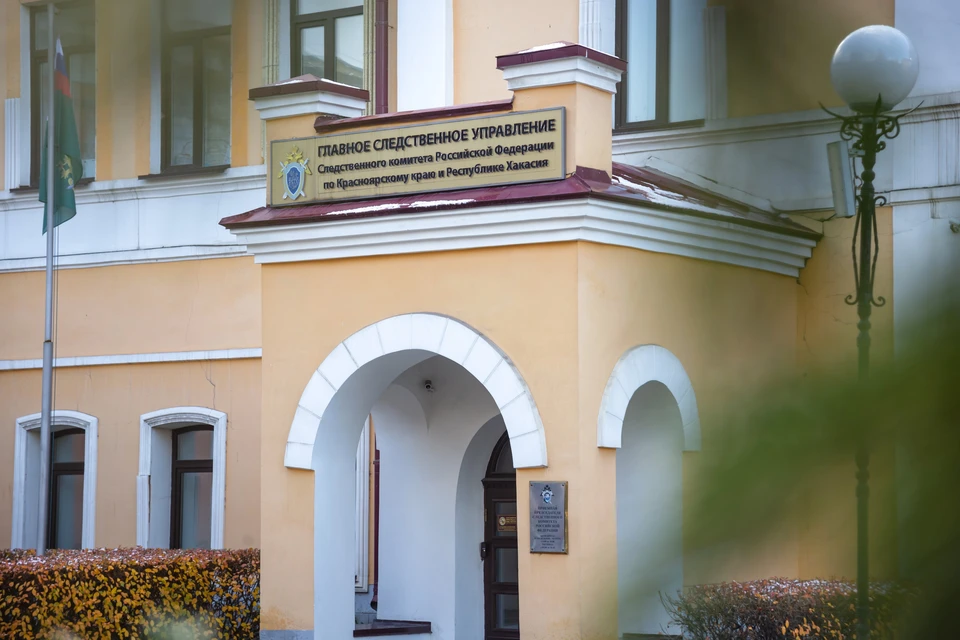 Главе СК России Бастрыкину доложат об издевательствах правнука над 90-летней бабушкой в Красноярском крае