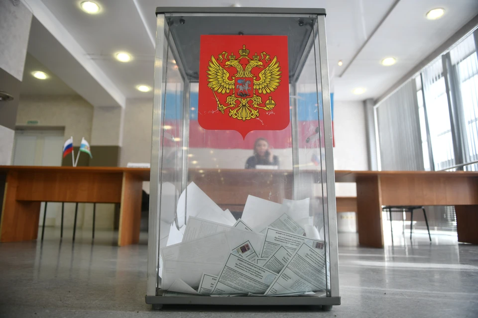МВД возбудило 33 уголовных дела по факту проноса краски на избирательные участки