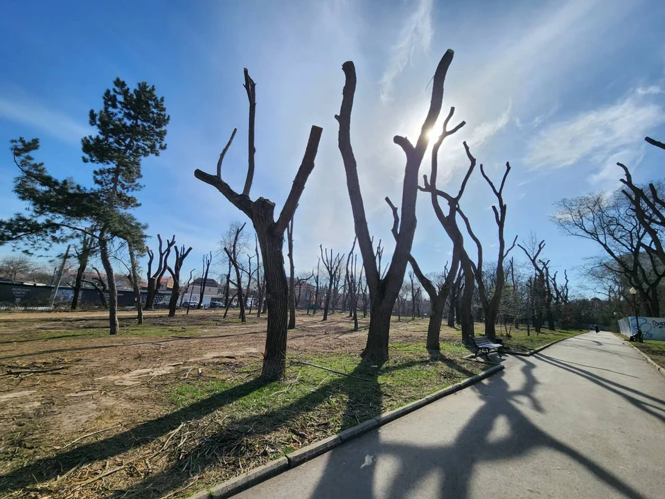 Фото: пресс-служба прокуратуры Крыма
