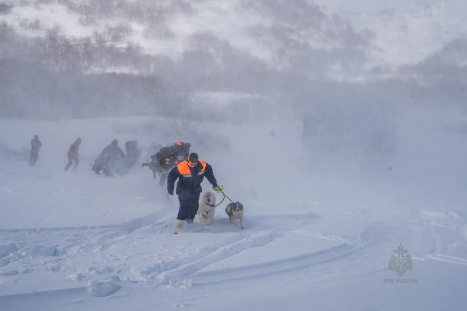 Спасатели вместе с собаками пешком добираются до туристов. Фото: пресс-служба МЧС России по Камчатскому краю.