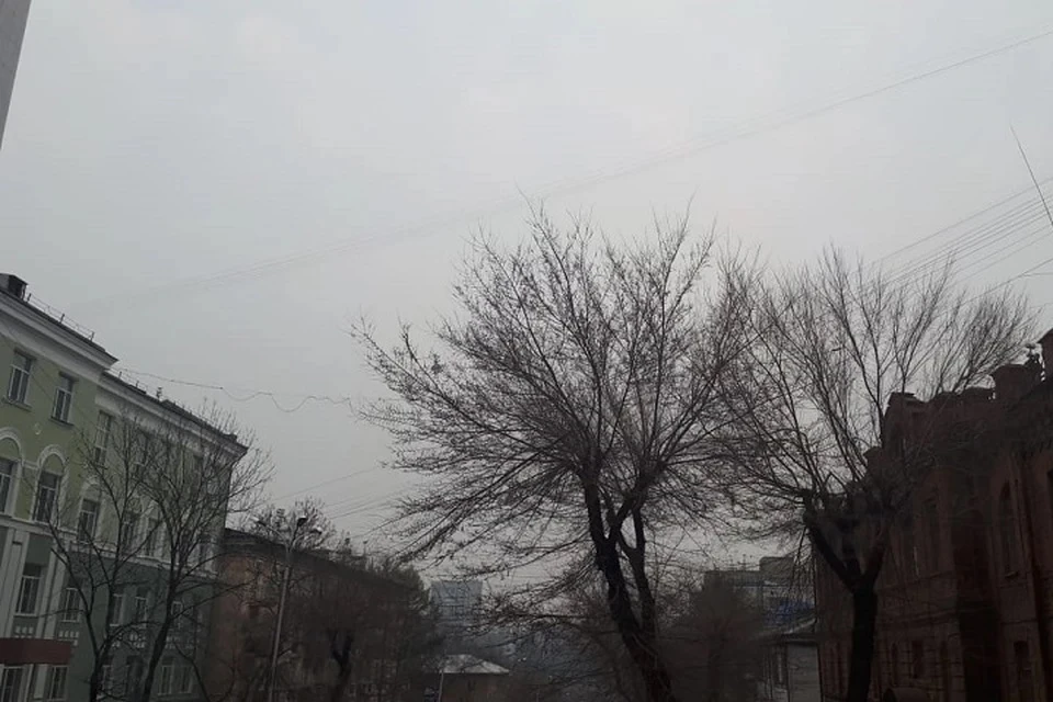 Март 2024 года может стать самым сухим в Москве в XXI веке