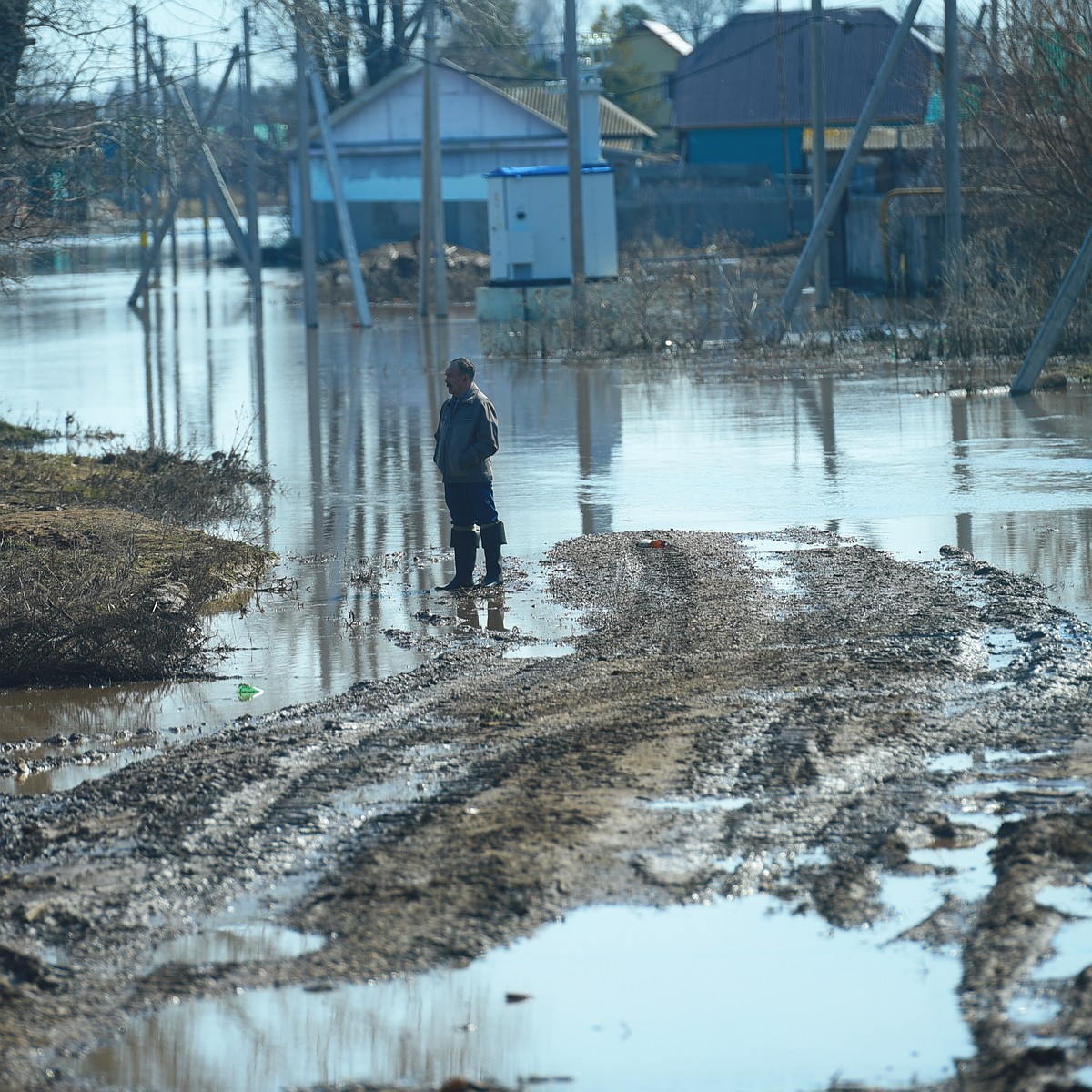 В Воронежской области начался подъем воды на реках - KP.RU