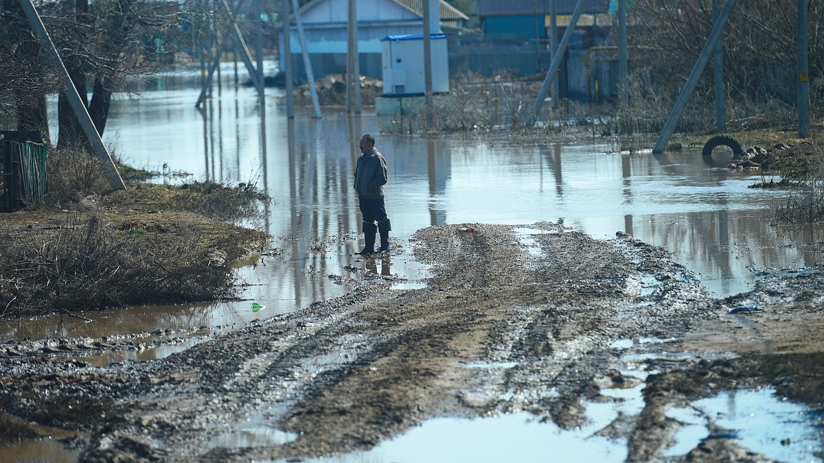 В Воронежской области начался подъем воды на реках - KP.RU