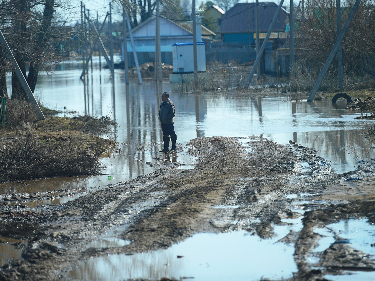 В Воронежской области начался подъем воды на реках - KP.RU