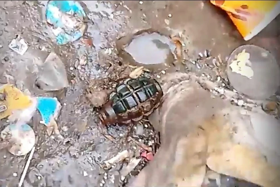 Дети нашли гранату на мусорной площадке в Рязани.