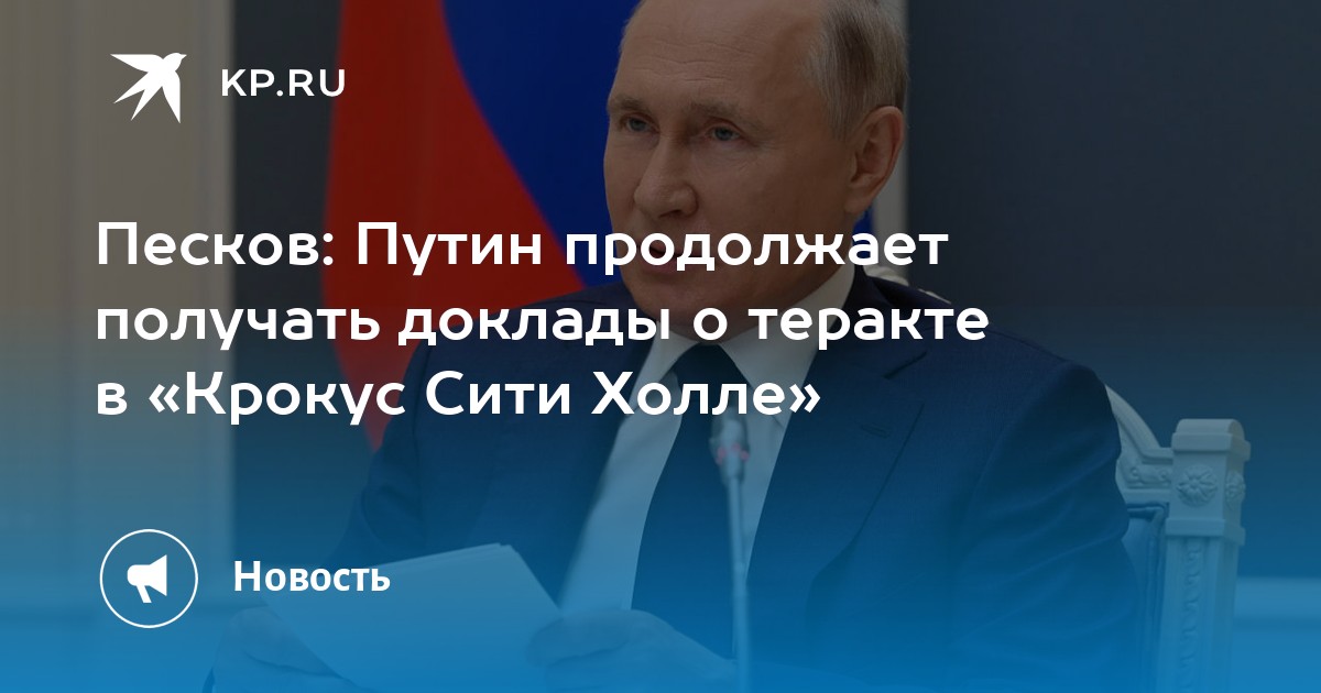 Путинские выплаты на детей. Как получить президентское. Президентское пособие на первого ребенка. Схема получения грантов. Шуйская газета выиграла президентские гранты.