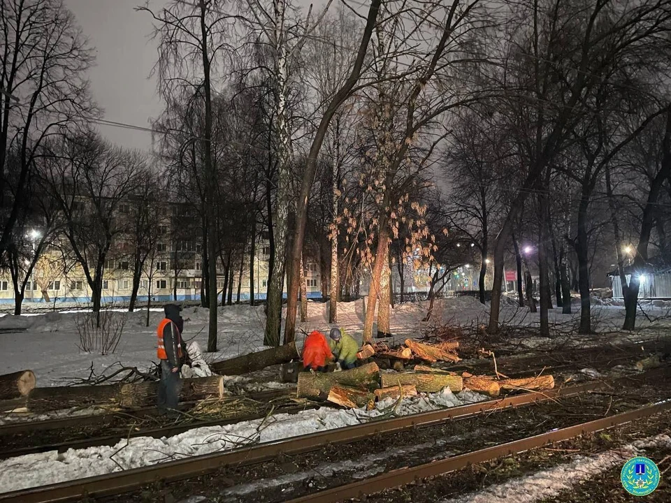 На Октябрьской в Ульяновске на трамвайную контактную сеть упали два дерева | ФОТО: телеграм-канал Управление гражданской защиты Ульяновска
