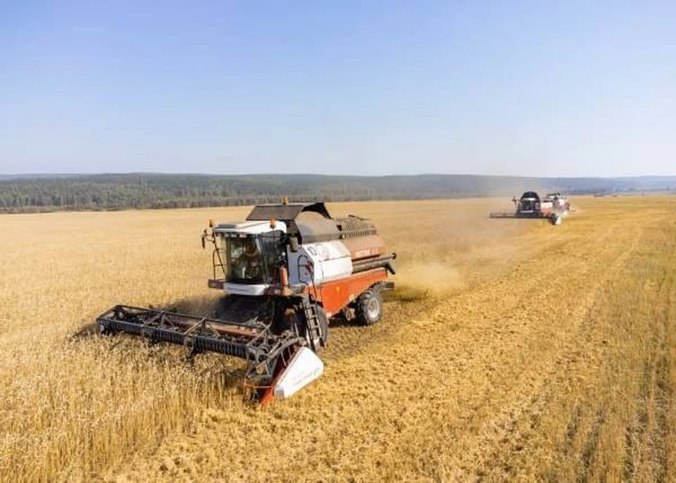 Запорожская область является экспортером зерновых культур в страны Ближнего Востока и Африку