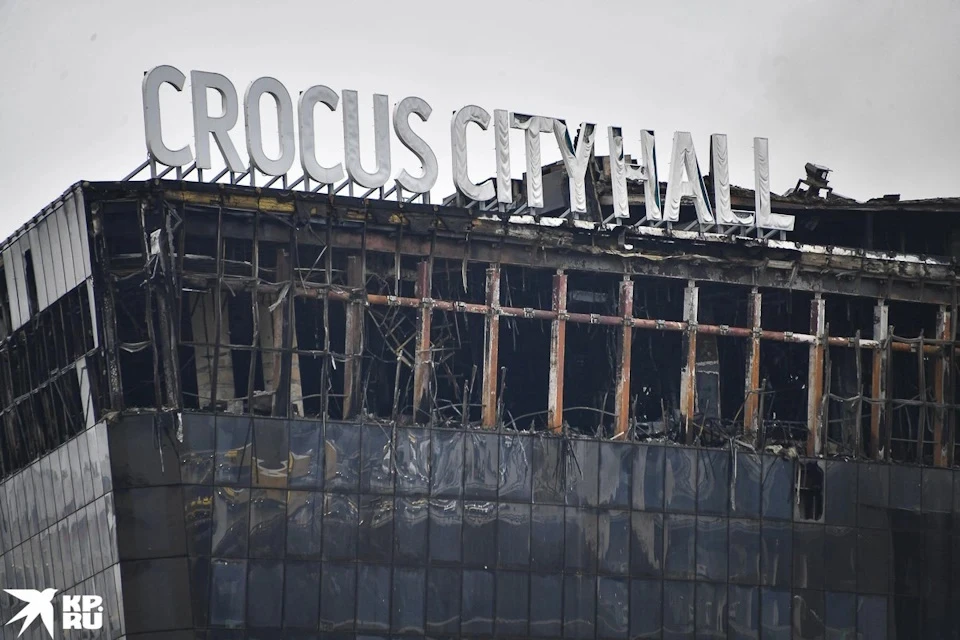 В Красногорске в результате теракте в «Крокус Сити Холле» пострадали 695 человек, 144 их них погибли