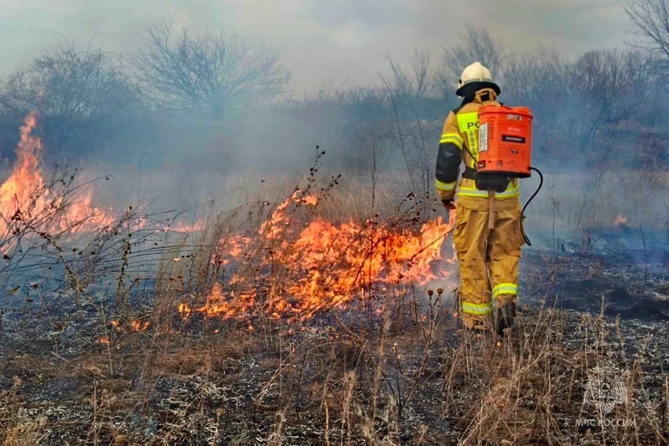 Общая площадь выгоревшего приближается к 3 тысячам гектаров. Фото: МЧС России по ДНР