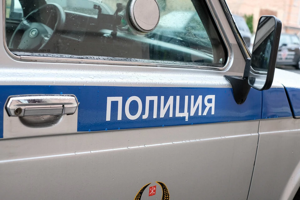 Подростка задержали за ложное сообщение о теракте в лицее на Ботанической улице в Петербурге.