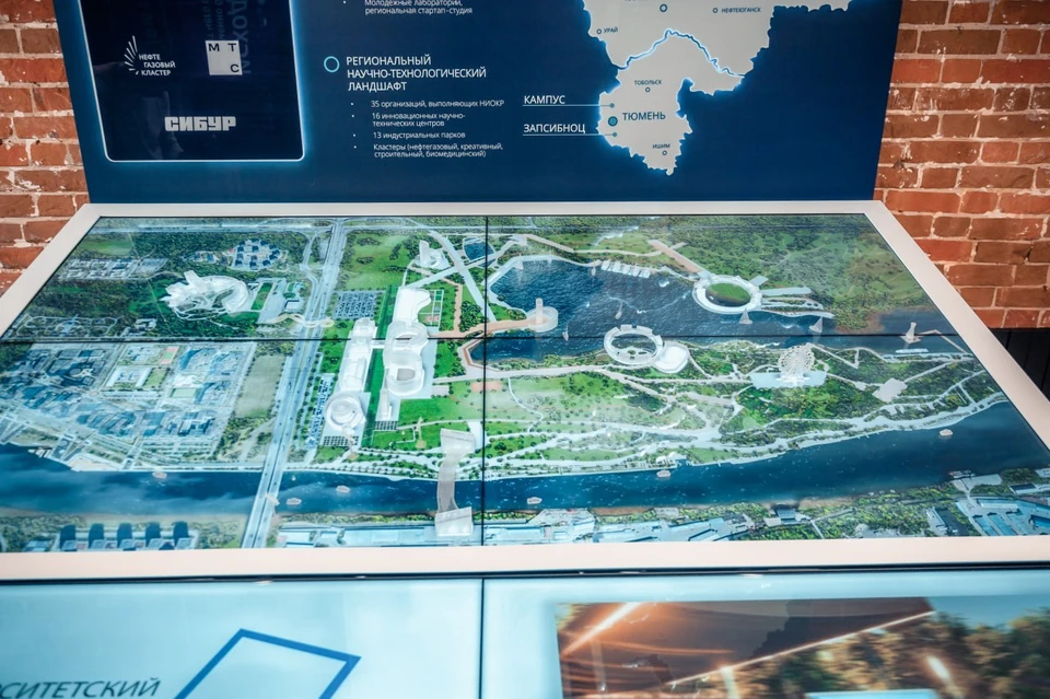 Фото: Информационный центр правительства Тюменской области.