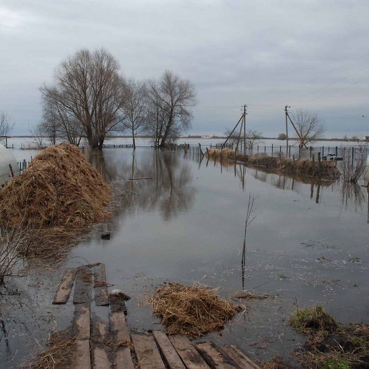 Еще на 20 см поднялась вода в Оке близ Рязани к 6 апреля - KP.RU