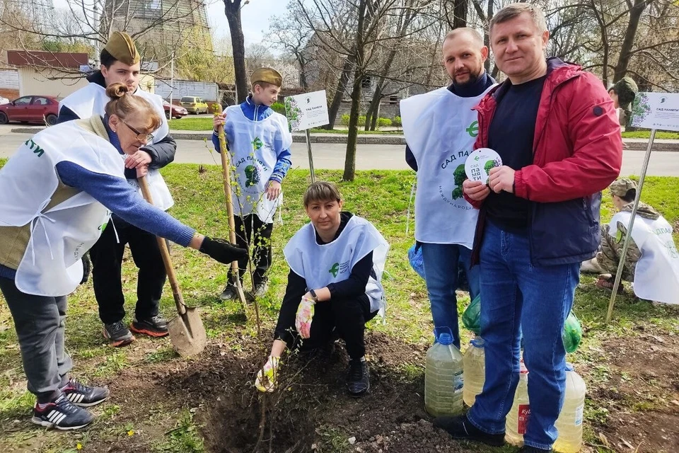 В Солдатском сквере была заложена березовая аллея. Фото: Госкомлесохота ДНР