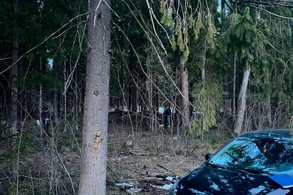 Полицейский был убит при попытке задержать наркосбытчика в городском округе Черноголовка. Фото: Прокуратура Московской области