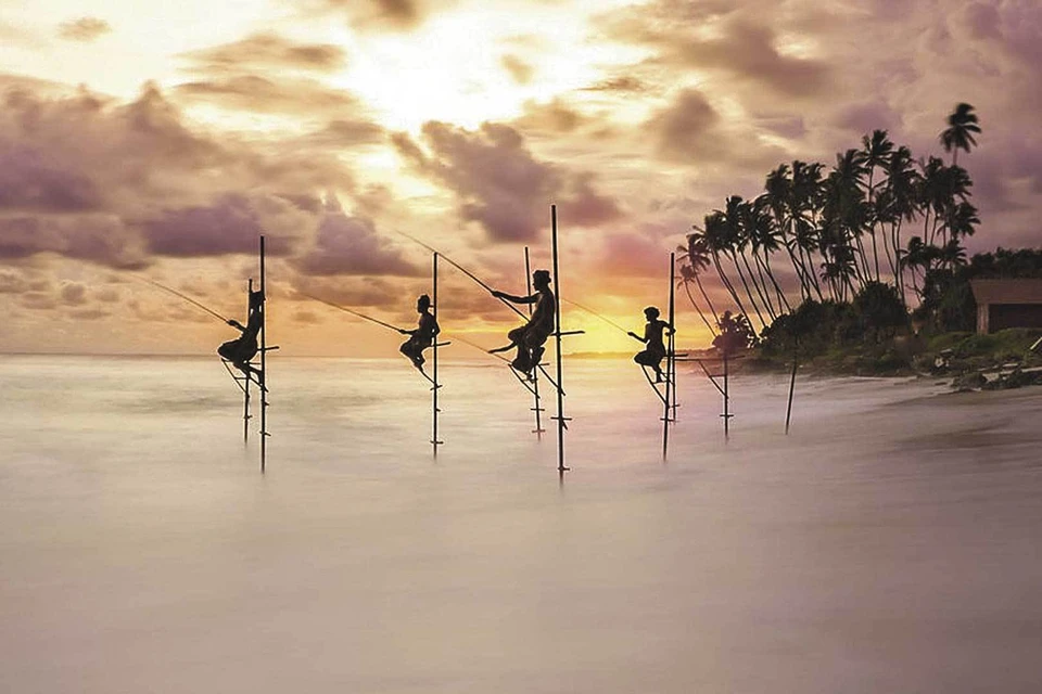 «Дневной улов». Классическая вариация на тему рыбаков на ходулях в Шри-Ланке (Иоанис Эвангелидис, Греция). Фото: Ioannis PAVLOS EVANGELIDIS/© World Nature Photography Awards