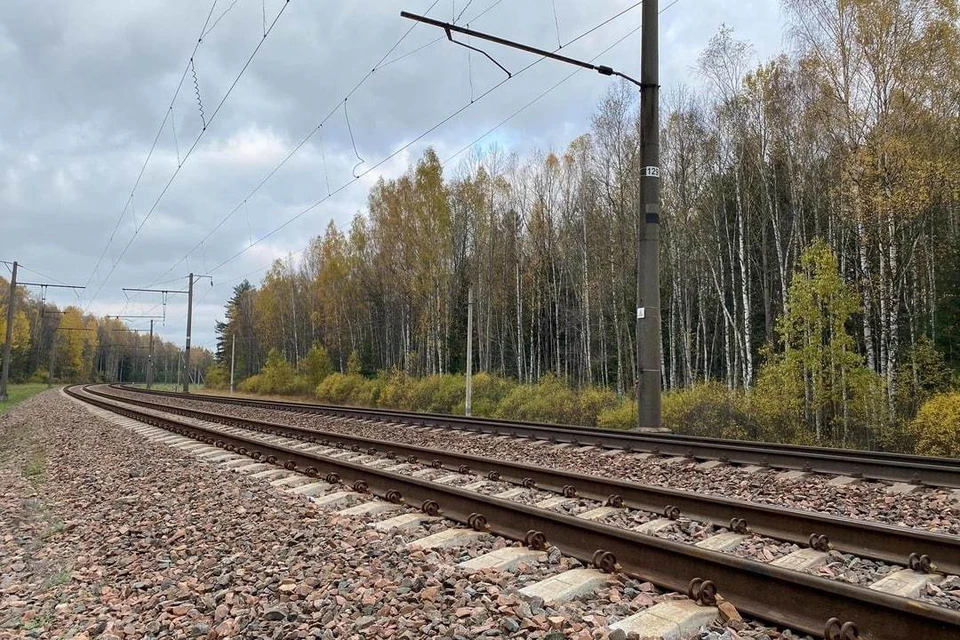 Железнодорожное сообщение с Беларусью после ЧП с мостом у Вязьмы восстановлено, но поезда следуют по одному пути. Фото носит иллюстративный характер. Фото: Архив "КП"