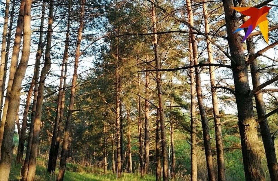 Практически летняя погода бьет температурные рекорды.