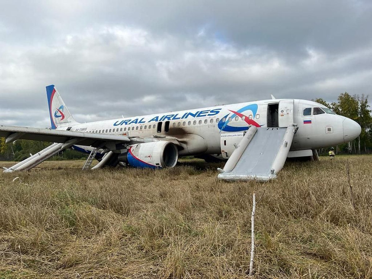 Севший в поле самолет Сочи-Омск больше не будут использовать для перевозок  - KP.RU