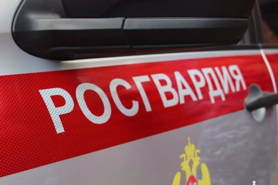 Фото: пресс-служба Управления Росгвардии по Брянской области.