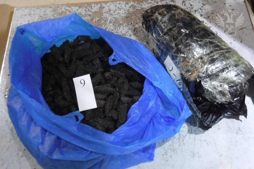 ФТС: В Амурской области пресечена контрабанда 40 кг трепанга на 1,5 млн рублей Фото: ФТС России